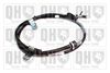 QH_BC3868.JPG