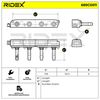 RIDEX