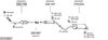 SYS10687.JPG