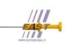 FT80318_2_1.JPG