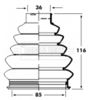 BCB2360_235620.JPG