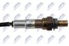ESL-AU-017_2-WM.JPG