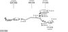 SYS11800.JPG
