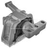 BEM4337_1688390.JPG