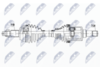 NPW-MA-002_9-WM.PNG