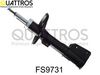 fs9731.JPG