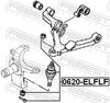 0620-ELFLF_1.JPG