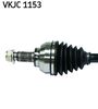 VKJC 1153_2.JPG