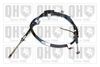QH_BC3923.JPG