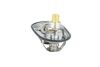 termostat SCANIA 725482