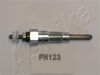PN123_1.JPG