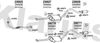 270473E.JPG