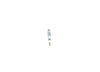 30_0 250 603 009.ZIP