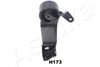 GOM-H173_3.JPG