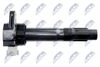 ECZ-SU-005_3-WM.JPG