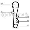 CT535(2).BMP