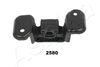 GOM-2580_2.JPG