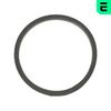 OPT_OP-EGE53002_WM_01.JPG