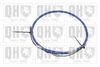 QH_BC3574.JPG