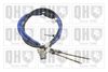QH_BC3629.JPG