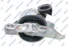 539558.JPG