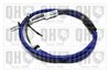 QH_BC3918.JPG