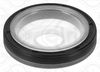 Wellendichtring, Kurbelwelle