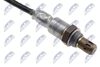 ESL-AU-013_2-WM.JPG