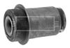 BSK6900_211830.JPG
