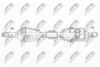 NPW-NS-162_9-WM.PNG
