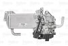 EGR_MODULE_700435_04.JPG
