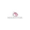 Arvin Meritor Distanzscheibe - 21006662