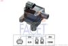 9.6297-FA.JPG