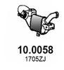 10.0058_1.JPG