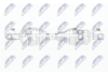 NPW-CH-038_9-WM.PNG