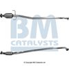BM80297H_5215963.JPG
