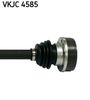 VKJC 4585_3.JPG