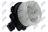 EWN-MS-006_1-WM.JPG