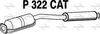 P322CAT.JPG