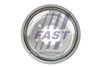 FT92910_1_1.JPG