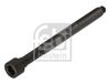 Болт головки циліндра FEBI BILSTEIN 184669
