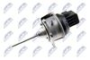 ecd-vw-010_2-wm.JPG