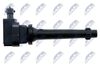 ECZ-HD-028_3-WM.JPG