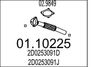 A0110225.JPG