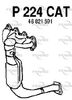 P224CAT.JPG