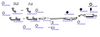 OP-EXSVG507_20260529081745.JPG