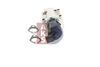 AGR-Ventil 155023N