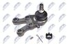 ZSD-MS-034_2-WM.JPG