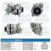 5535211.JPG
