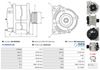 A01404(SEG)_256960.JPG